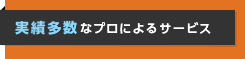 実績多数なプロによるサービス